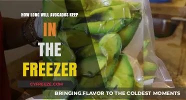 Avocado Preservation: Freezing Tips for Long-Lasting Freshness