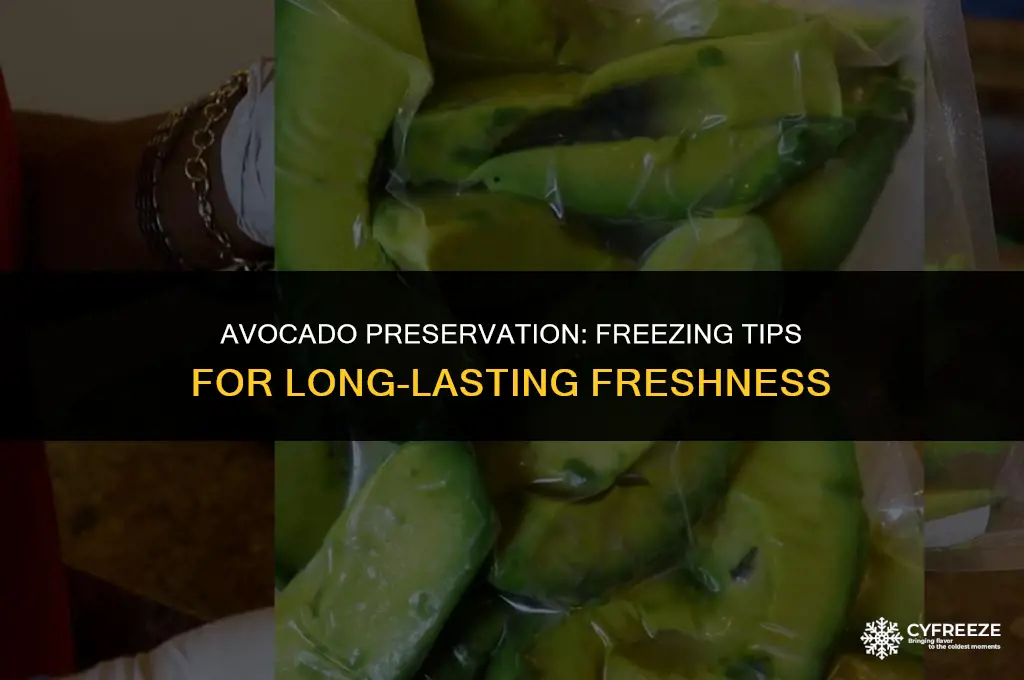 how long will avocados keep in the freezer