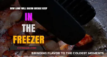 Preserving Flavor: The Ultimate Guide to Freezing Bacon Grease