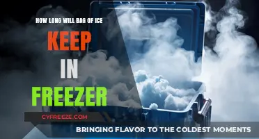 Chill Facts: The Ultimate Guide to Ice Storage Lifespan