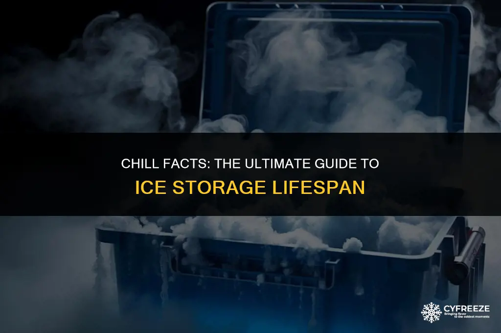 how long will bag of ice keep in freezer