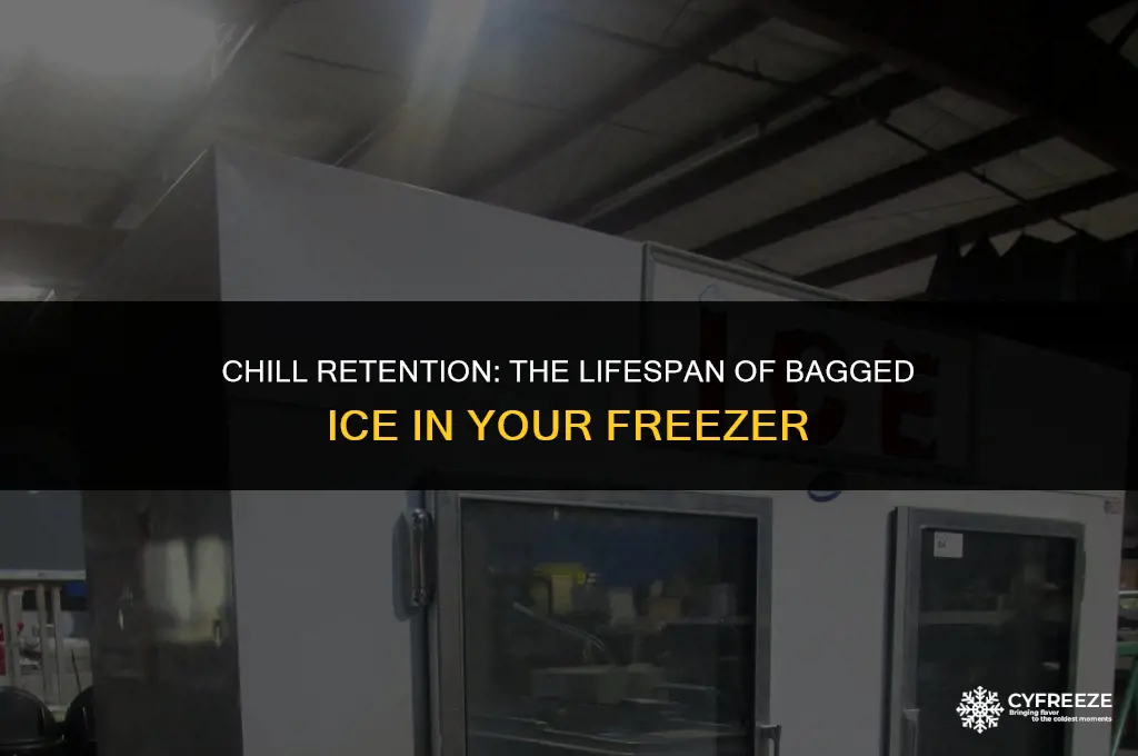 how long will bagged ice keep a freezer cold
