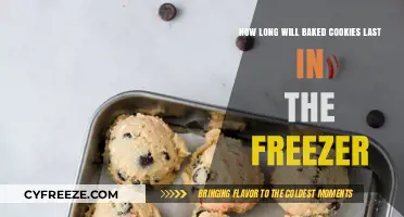 Maximizing Freshness: The Ultimate Guide to Freezing Baked Cookies