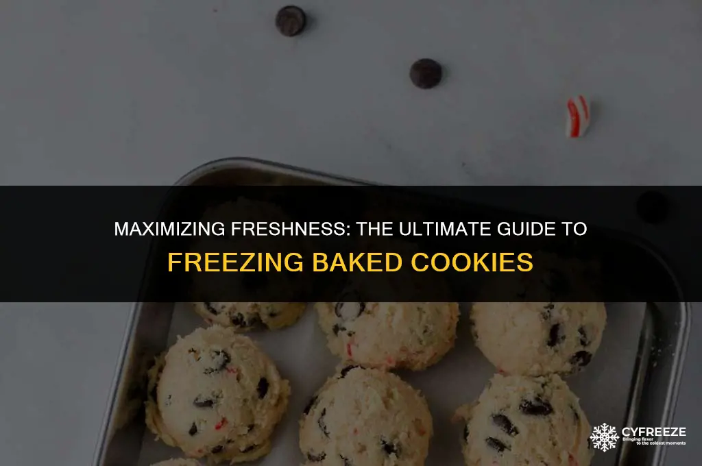 how long will baked cookies last in the freezer