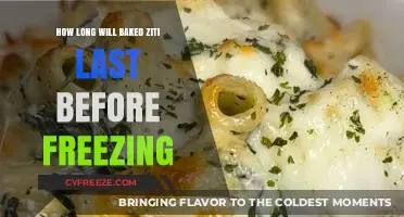 Savoring Leftovers: The Ultimate Guide to Baked Ziti Storage