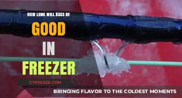 Freshness Preserved: The Ultimate Guide to Freezing Bass