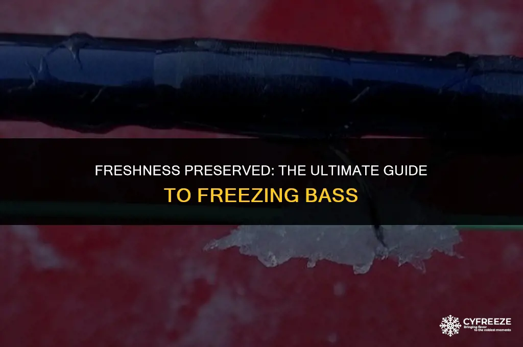 how long will bass be good in freezer