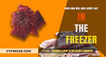 Preserving Flavor: The Ultimate Guide to Freezing Beef Jerky