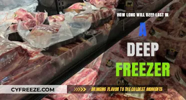 Maximizing Shelf Life: The Ultimate Guide to Freezing Beef