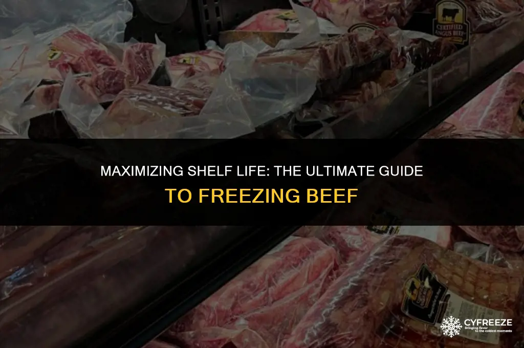 how long will beef last in a deep freezer