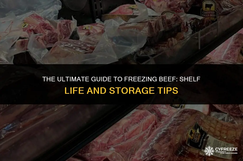how long will beef last in the freezer