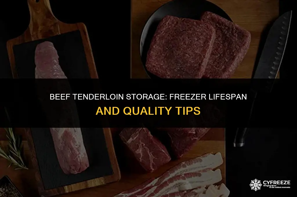 how long will beef tenderloin keep in freezer