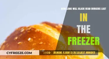Freezing Black Bean Burgers: A Guide to Optimal Storage Duration