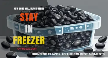 The Ultimate Guide to Freezing Black Beans: Shelf Life and Tips