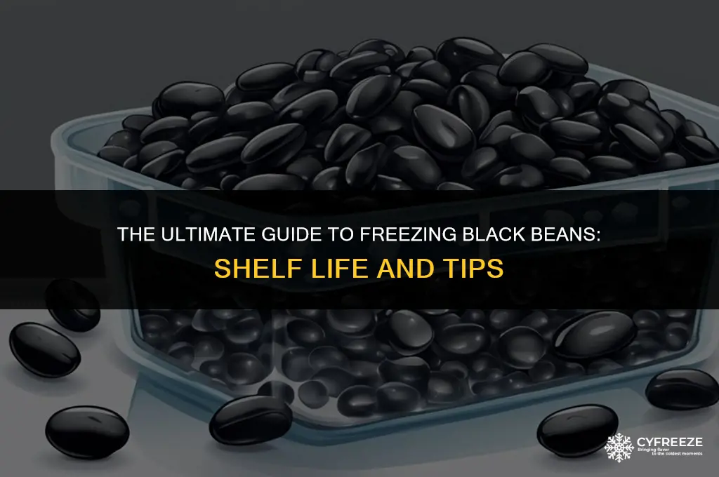how long will black beans stay in freezer