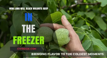 Preserving Perfection: The Ultimate Guide to Freezing Black Walnuts