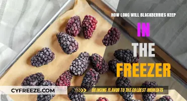 Maximizing Blackberry Freshness: A Guide to Freezer Storage