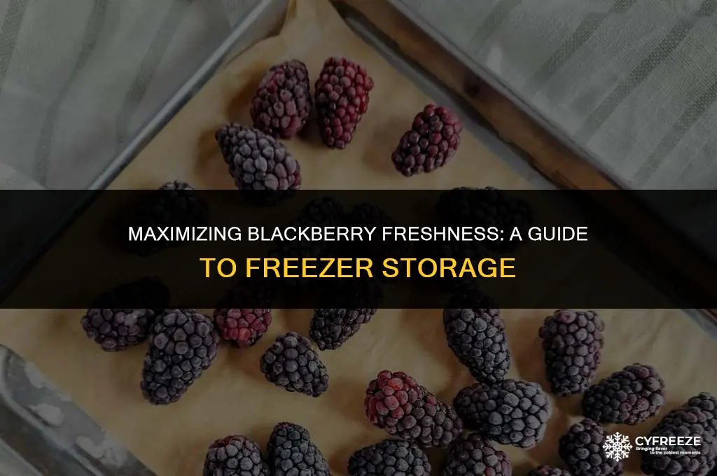 how long will blackberries keep in the freezer