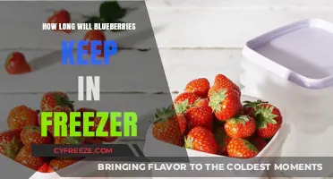 Blueberries in the Freezer: A Guide to Optimal Storage Duration