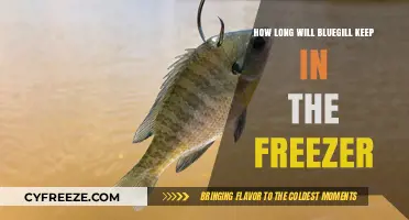 Fresh Catch, Frozen Treasure: The Ultimate Guide to Bluegill Storage