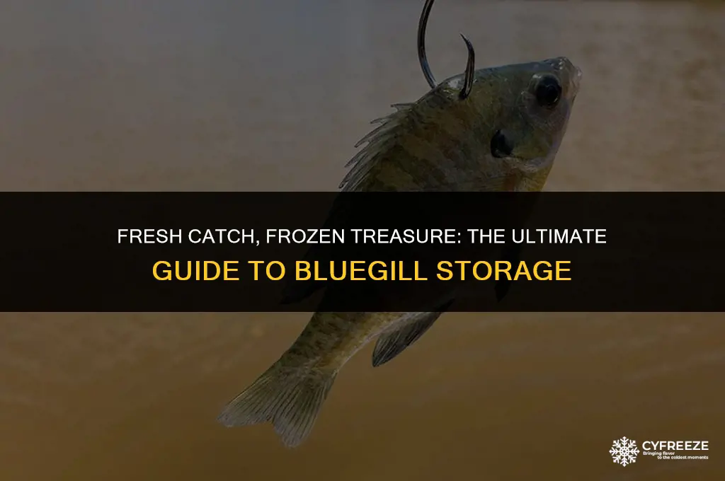 how long will bluegill keep in the freezer