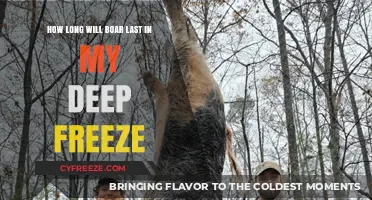 Preserving Wild Boar: Deep Freeze Duration and Tips