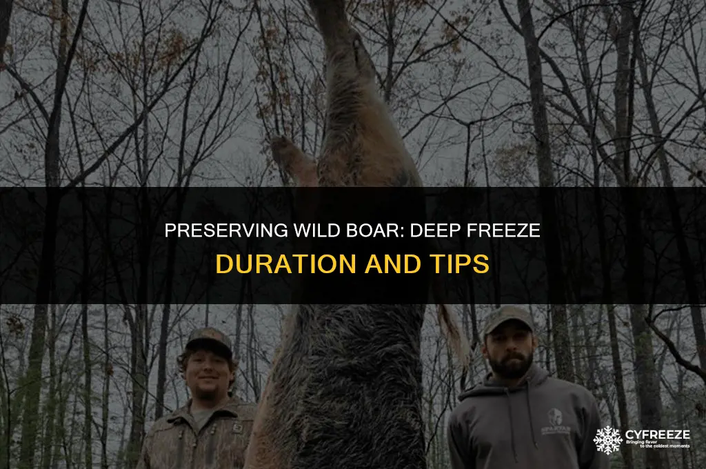 how long will boar last in my deep freeze