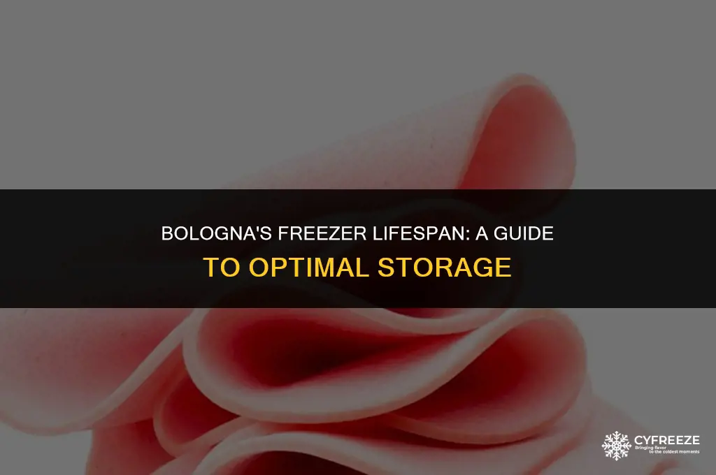 how long will bologna keep in the freezer