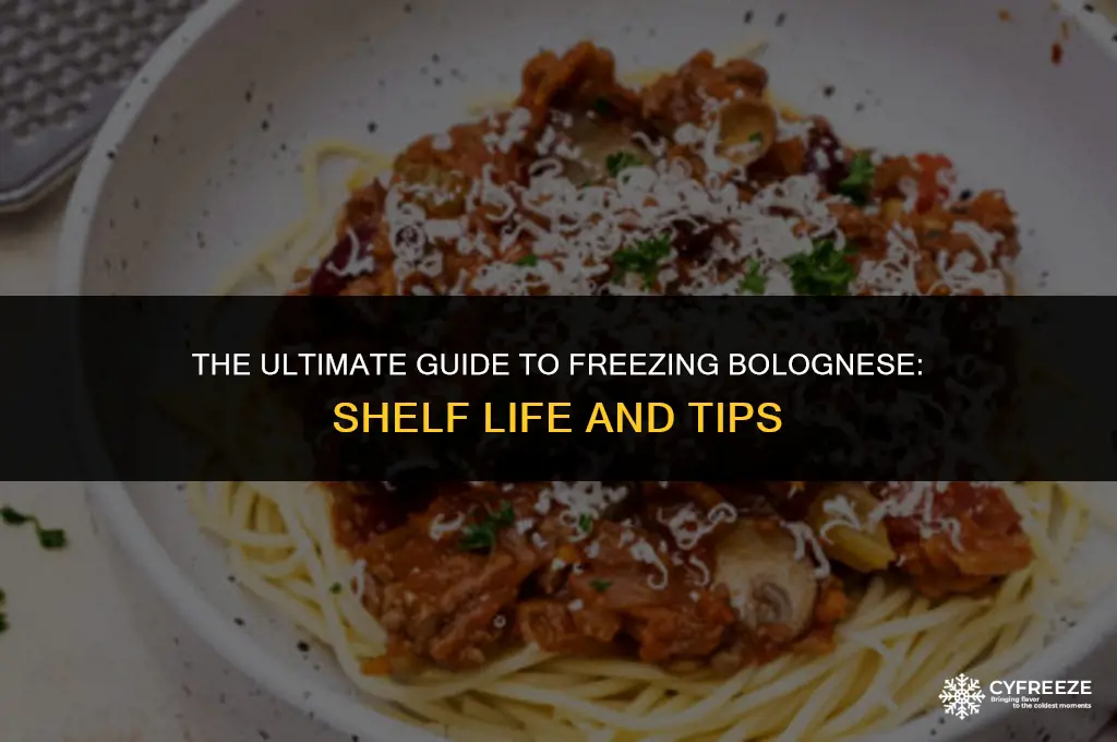 how long will bolognese keep in the freezer