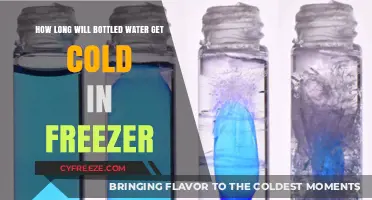 Chill Your Thirst: The Ultimate Guide to Freezing Bottled Water