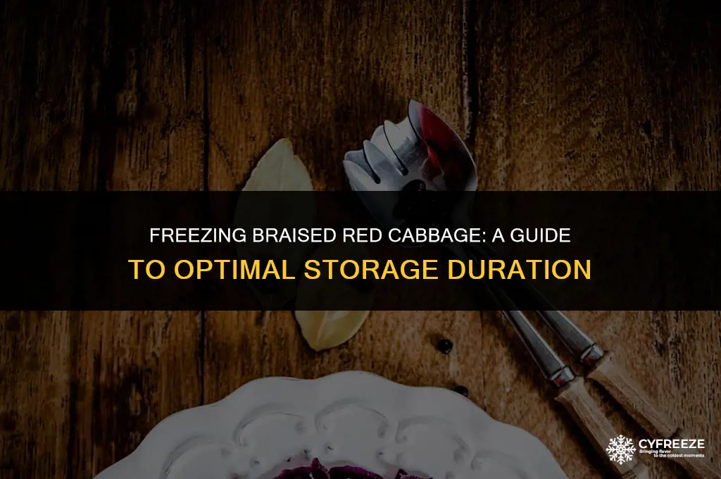 how long will braised red cabbage keep in the freezer
