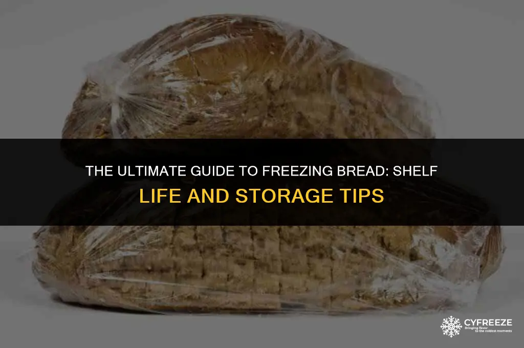 how long will bread keep in the freezer