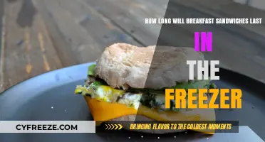 Maximizing Freshness: Freezing Breakfast Sandwiches for Optimal Duration