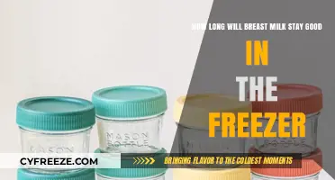 Maximizing Breast Milk Storage: A Guide to Freezer Lifespan