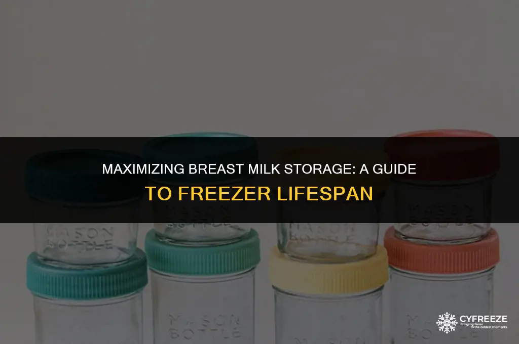 how long will breast milk stay good in the freezer