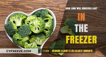Maximizing Broccoli's Shelf Life: A Guide to Freezing Success