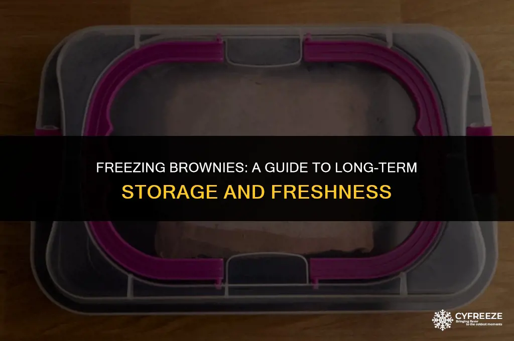 how long will brownies keep in the freezer