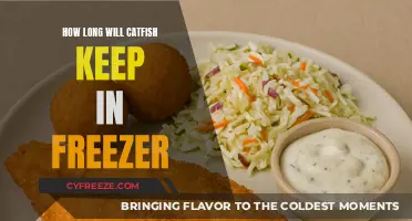 Catfish Storage Guide: Freezing Tips for Freshness and Flavor