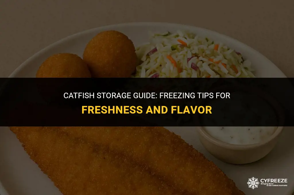 how long will catfish keep in freezer