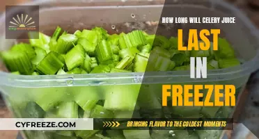 Maximizing Freshness: A Guide to Freezing Celery Juice