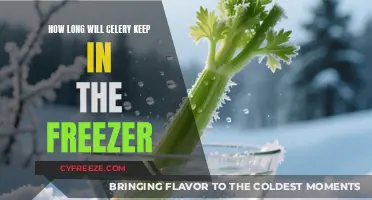 Freshness Preserved: The Ultimate Guide to Freezing Celery