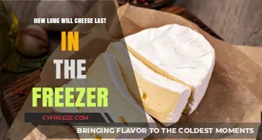 Maximizing Cheese Shelf Life: A Guide to Freezing Success