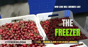 Cherry Preservation: A Guide to Freezing Lifespan