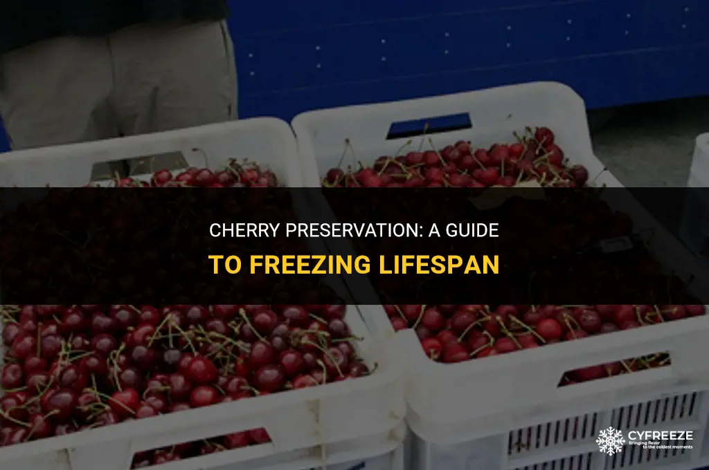 how long will cherries last in the freezer