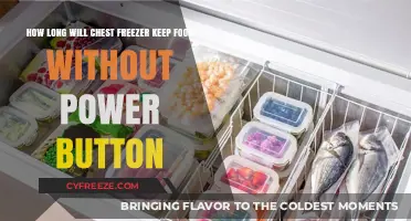 Unplugged and Fresh: Chest Freezer Food Storage Without Power