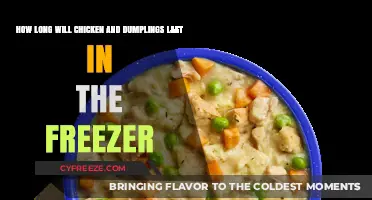 Savoring Comfort: The Ultimate Guide to Freezing Chicken and Dumplings