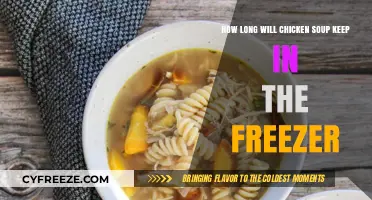 Shelf Life of Chicken Soup in the Freezer: A Complete Guide