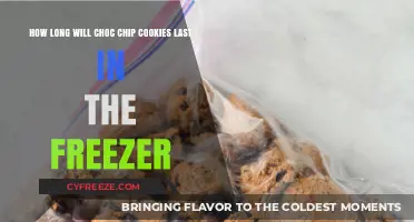 The Ultimate Guide to Freezing Choc Chip Cookies for Maximum Freshness