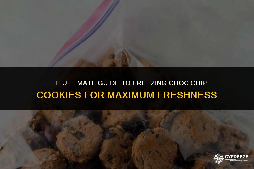 how long will choc chip cookies last in the freezer