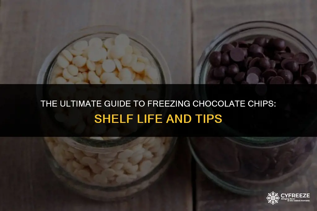 how long will chocolate chips keep in freezer